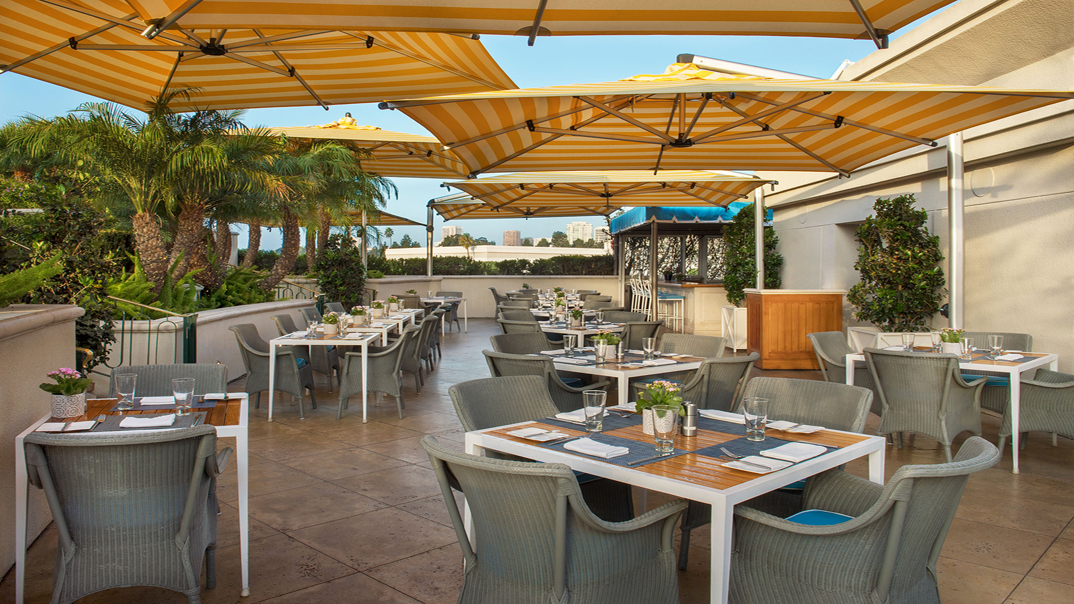 Coffee shop and roof garden